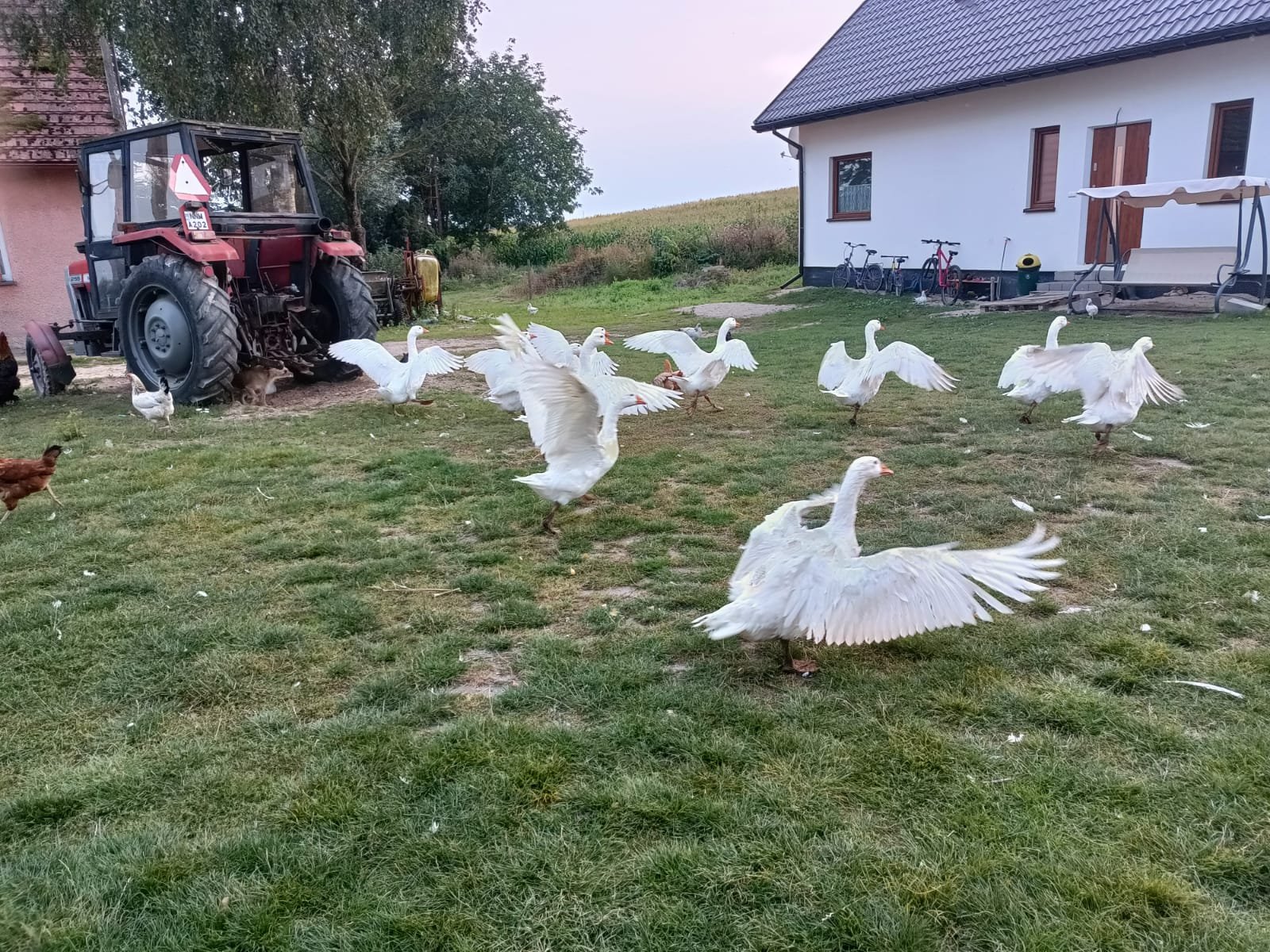 img 20240824 wa0009